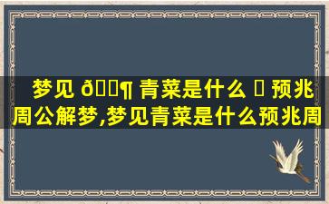 梦见 🐶 青菜是什么 ☘ 预兆周公解梦,梦见青菜是什么预兆周公解梦女人